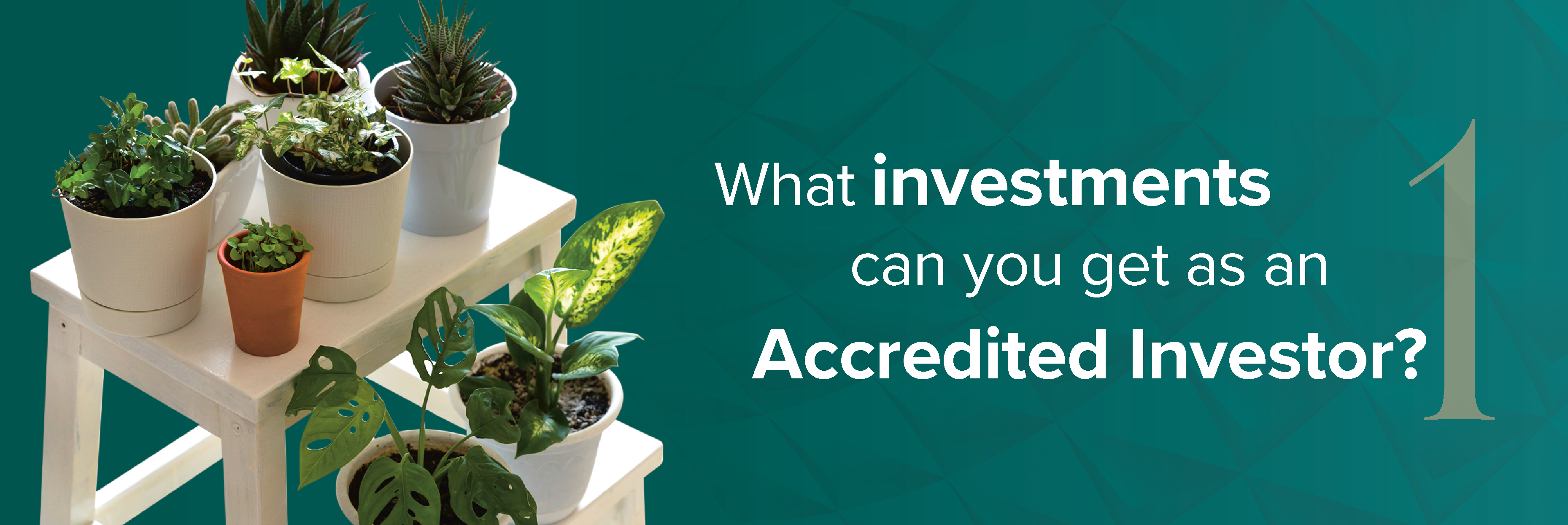 What investments can you get as an Accredited Investor