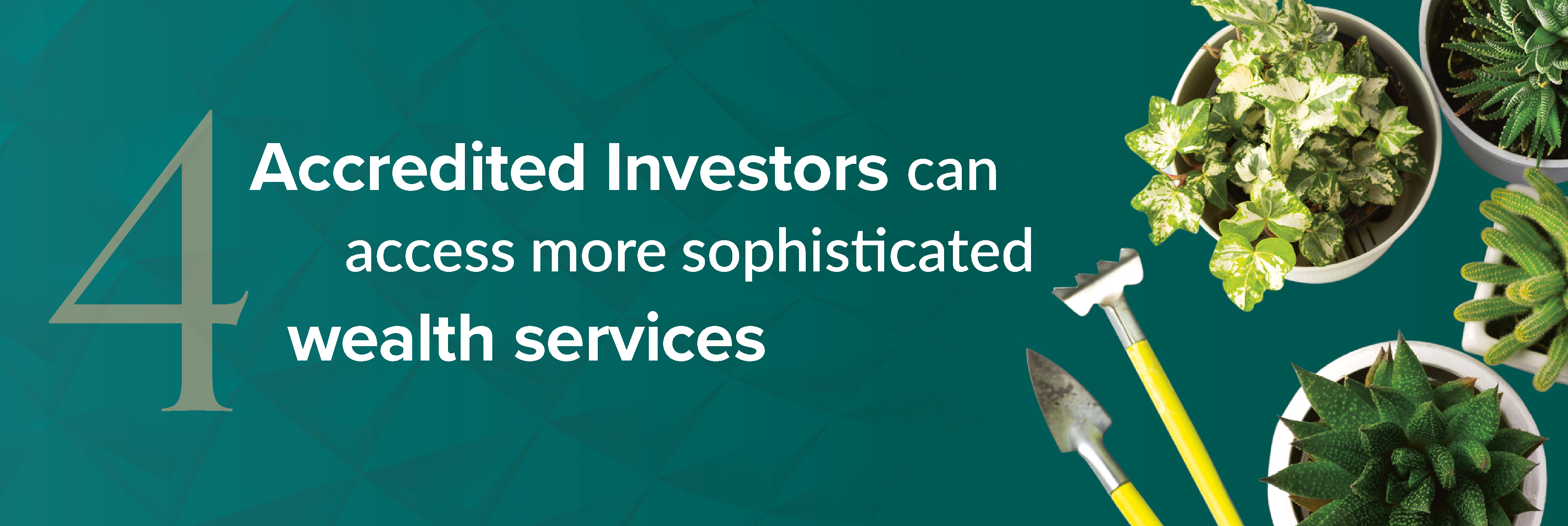 Accredited investors can access more sophisticated wealth services.