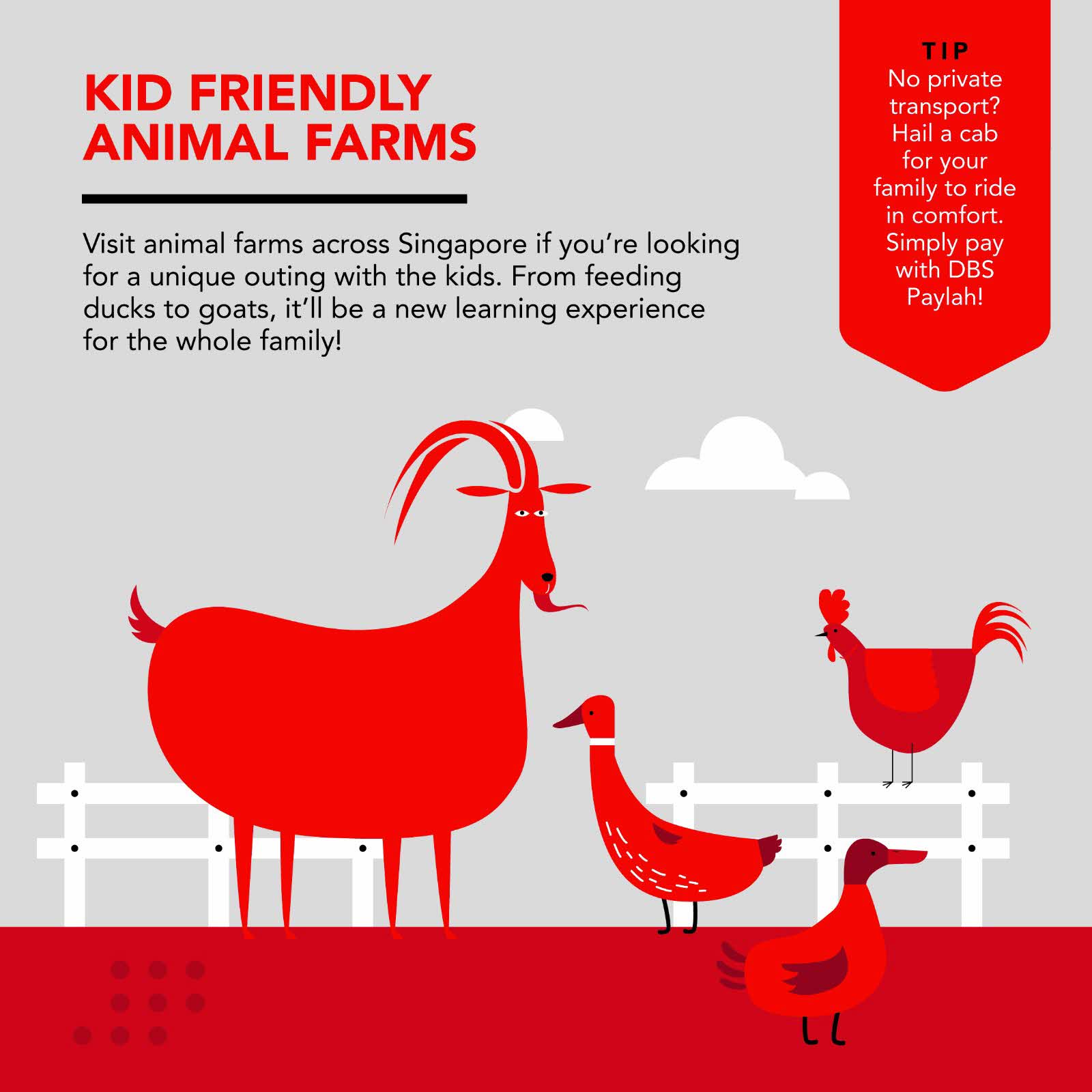 Kid friendly animal farms
