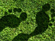 footprint green