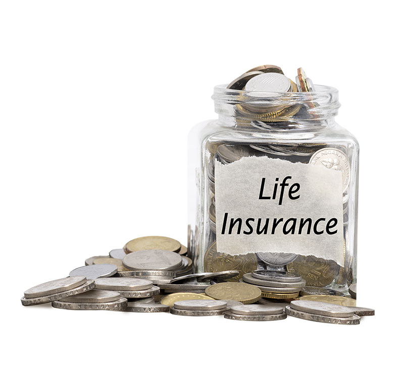 what is life insurance