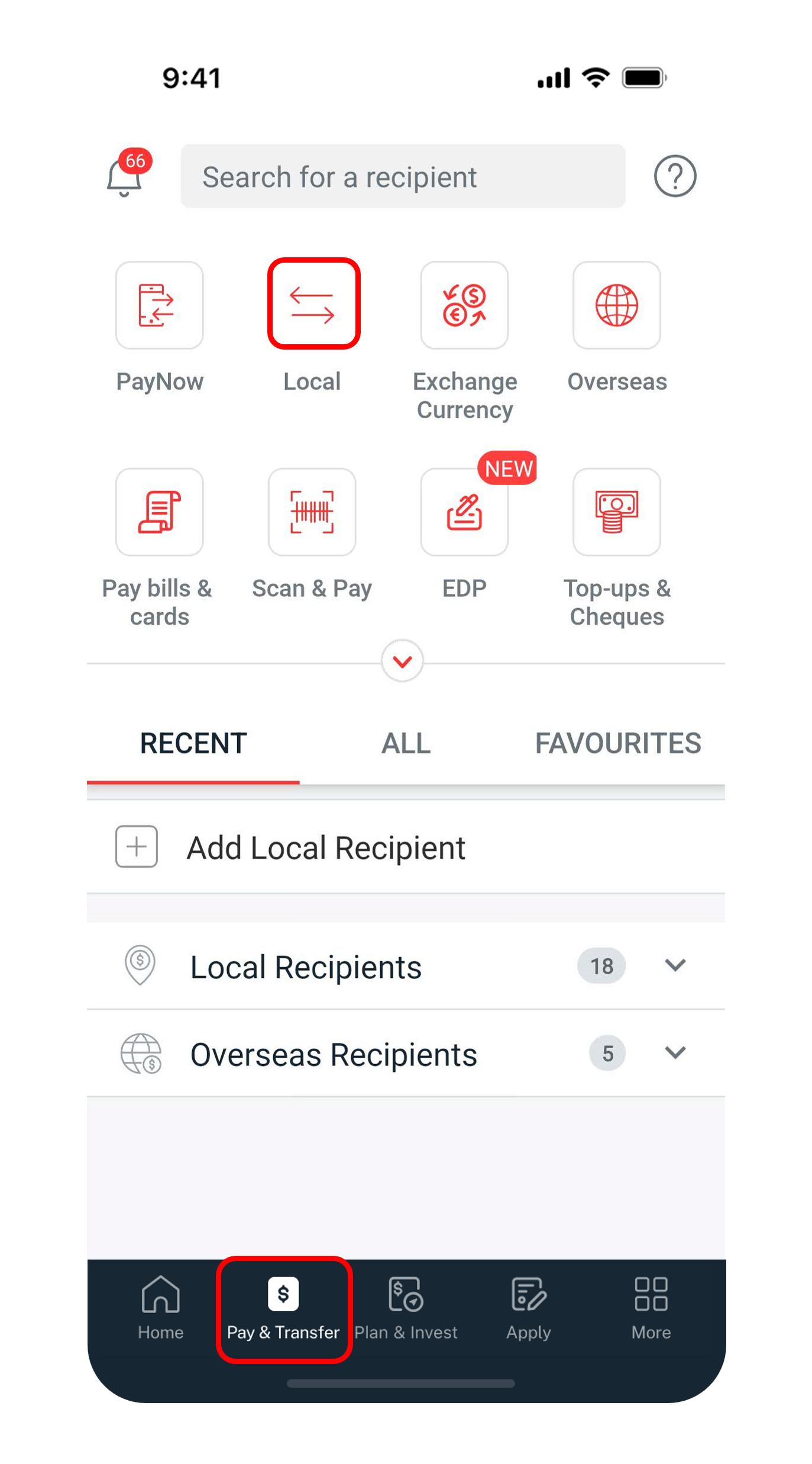 pay and transfer dashboard