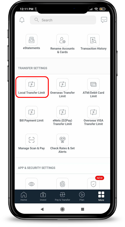 You can activate Peek Balance option by tapping More and under App & Security Settings, select Peek Balance.